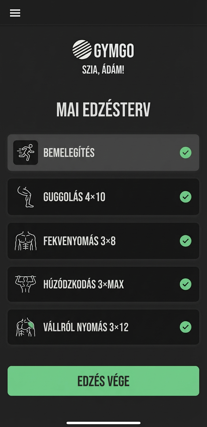 Workout Plan Interface